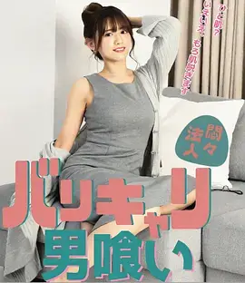 候鸟计划 海报